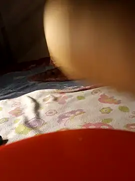 -Tara-a webcam