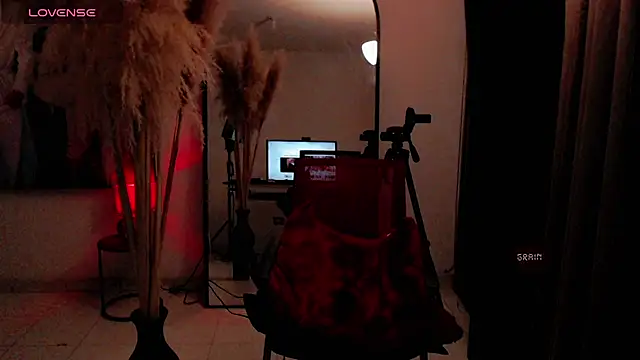 dark_sailent webcam