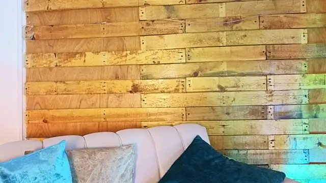pixy_20 webcam