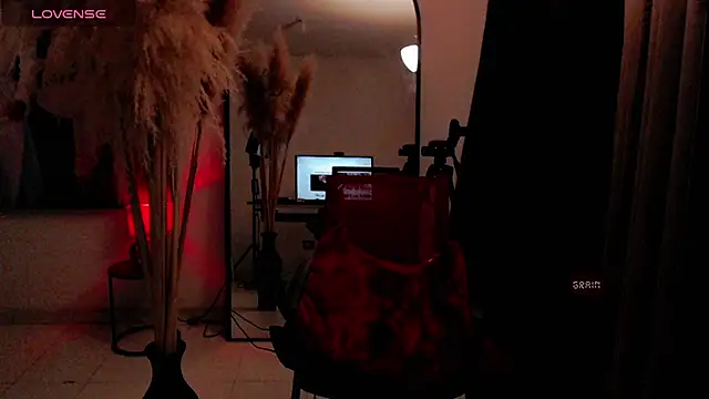 dark_sailent live cam on StripChat