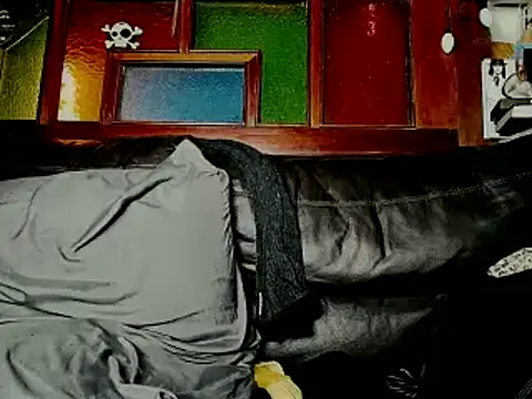 BrunoAlphaBR webcam