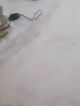 AnassXmaroc webcam