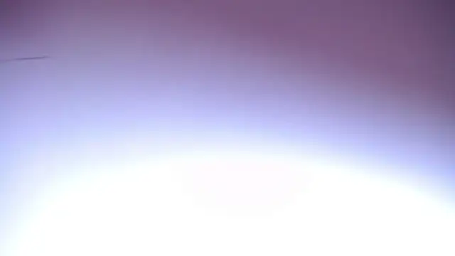 salomecastro_ webcam