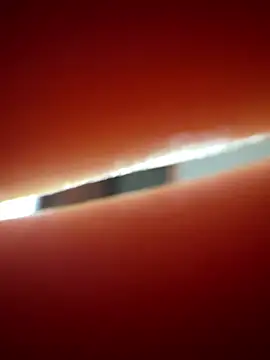 LaraVoosh webcam