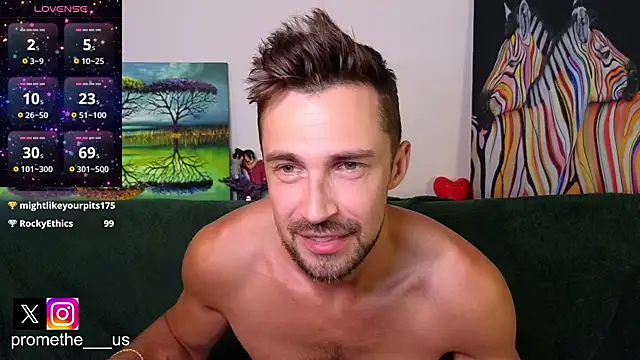 Promethe_us webcam