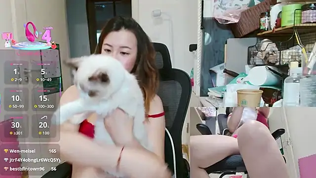 sallycui live cam