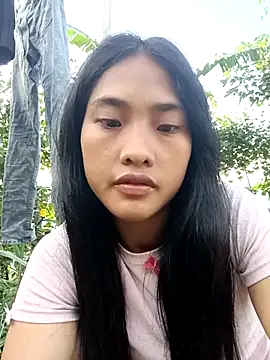 Hoa-tuylip webcam