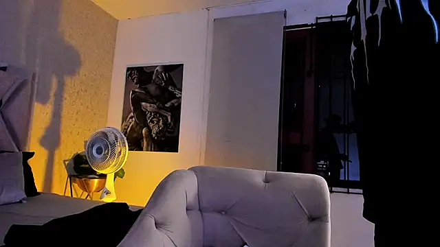 Vincentblack webcam