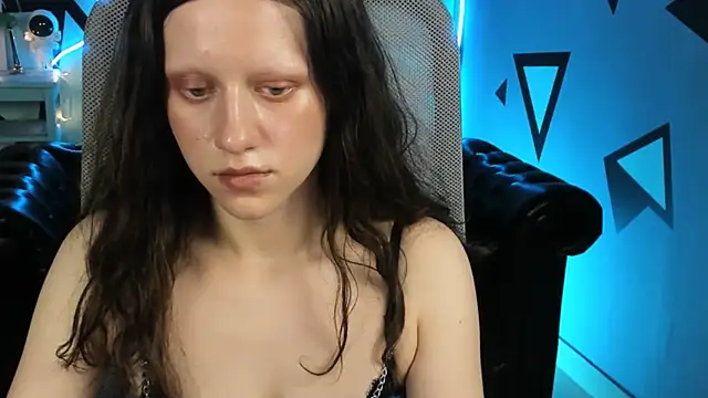 LidaDarknet webcam