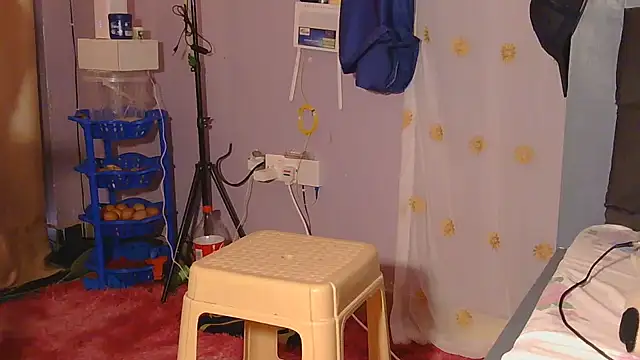 Dic_star webcam