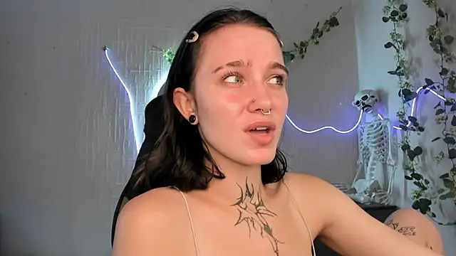 Elastikisss webcam
