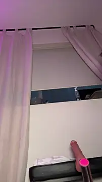 allpawgsgotoheaven webcam