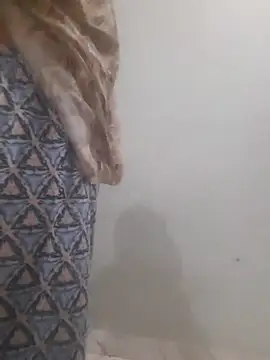 ms_zini webcam