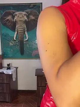 alisaa_jhons1 webcam