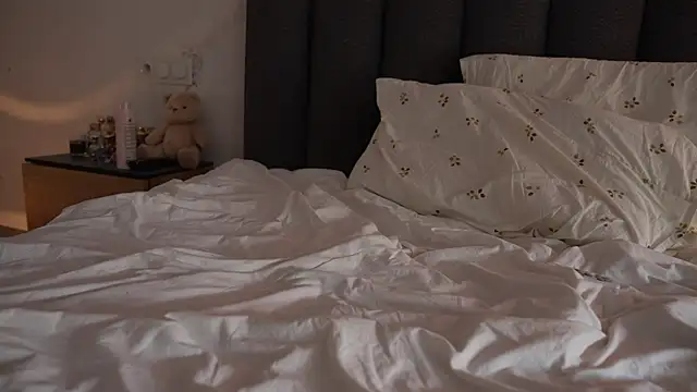 ibiddi live webcam show