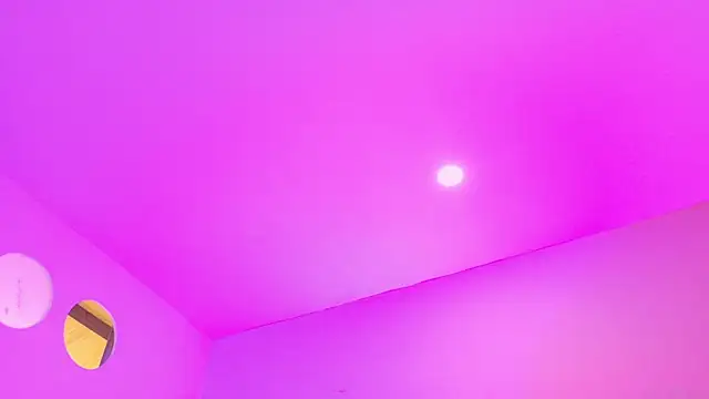 Nascary_Fox webcam