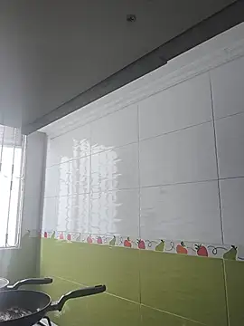Tiger_cryad webcam