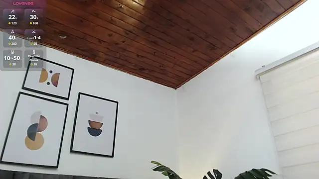 samy_l webcam