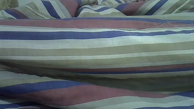 langiey webcam