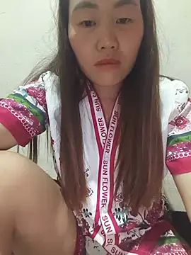 he-se-kin webcam