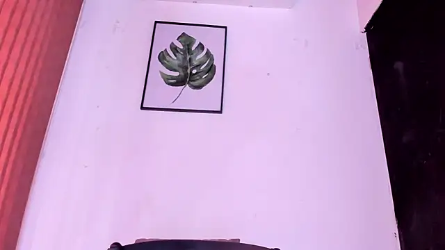 alondrabigtits webcam