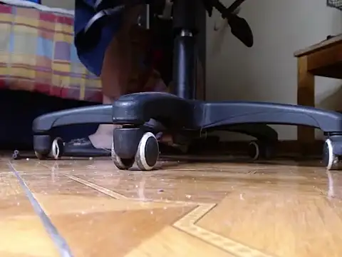 alphaswitchard webcam