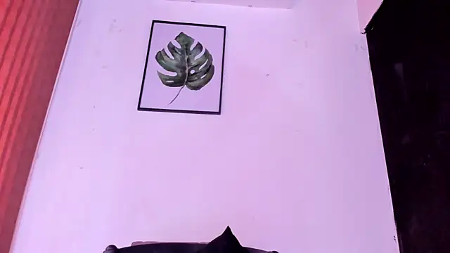 alondrabigtits webcam