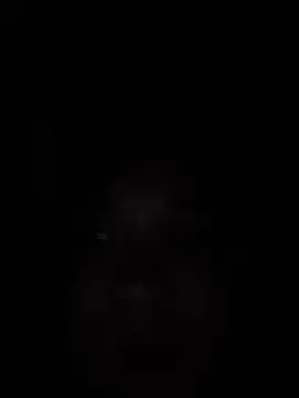Liness101 webcam