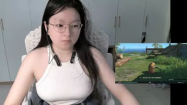 Erya-369 webcam