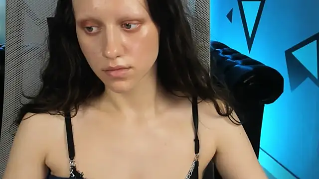 LidaDarknet webcam