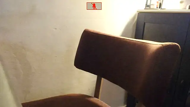 Hgay6935 webcam