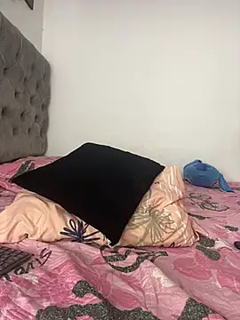 Pamela23x webcam