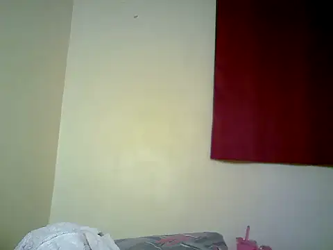 Snow_eye webcam