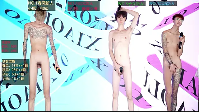 NDN-6666 webcam