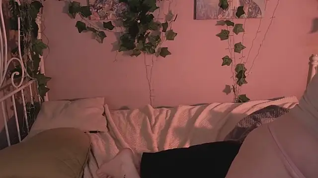 last_hxpe webcam