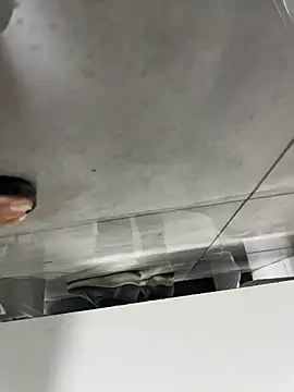 Turkishleo