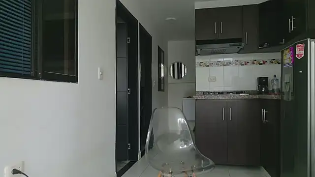 grey___27 webcam