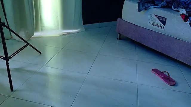 ale_cam webcam