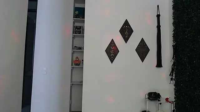 Fleurmeyer79 webcam