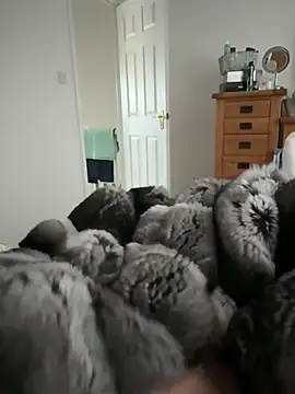 Furdale live cam