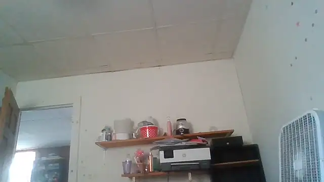 starlight1983 live webcam show