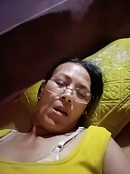 toyo_668 webcam