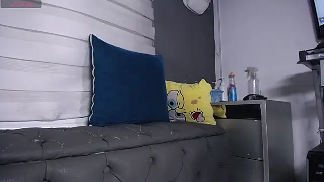 dirty_27cms webcam