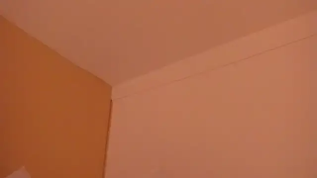 liabell_ webcam