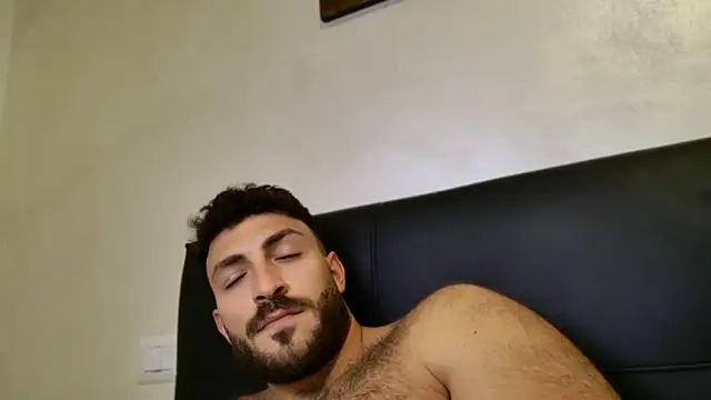 mark_ariete webcam