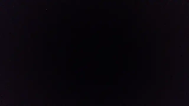 pinkycat webcam