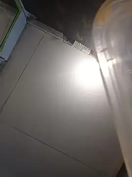 manilafoxts webcam