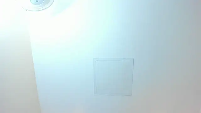 MAGIEVANS1 live webcam show