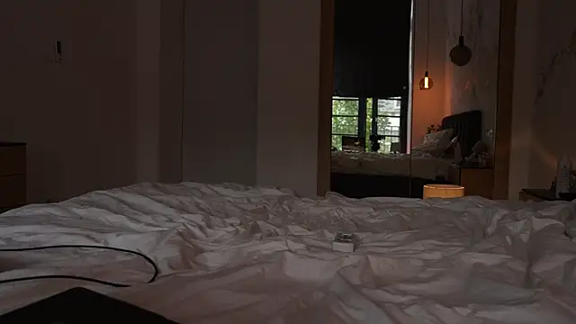 ibiddi webcam