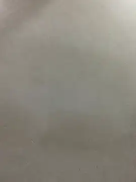 nasty-sexygal webcam